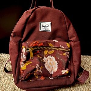 Super cute mini Herschel!